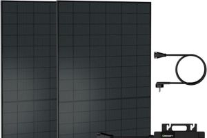 Growatt-Balkonkraftwerk für 289€ – 2x 500Wp Full-black bifaziale Module, Kabel, 800W Growatt WR