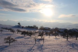 häutligen, natur, winter, nature, snow, schnee