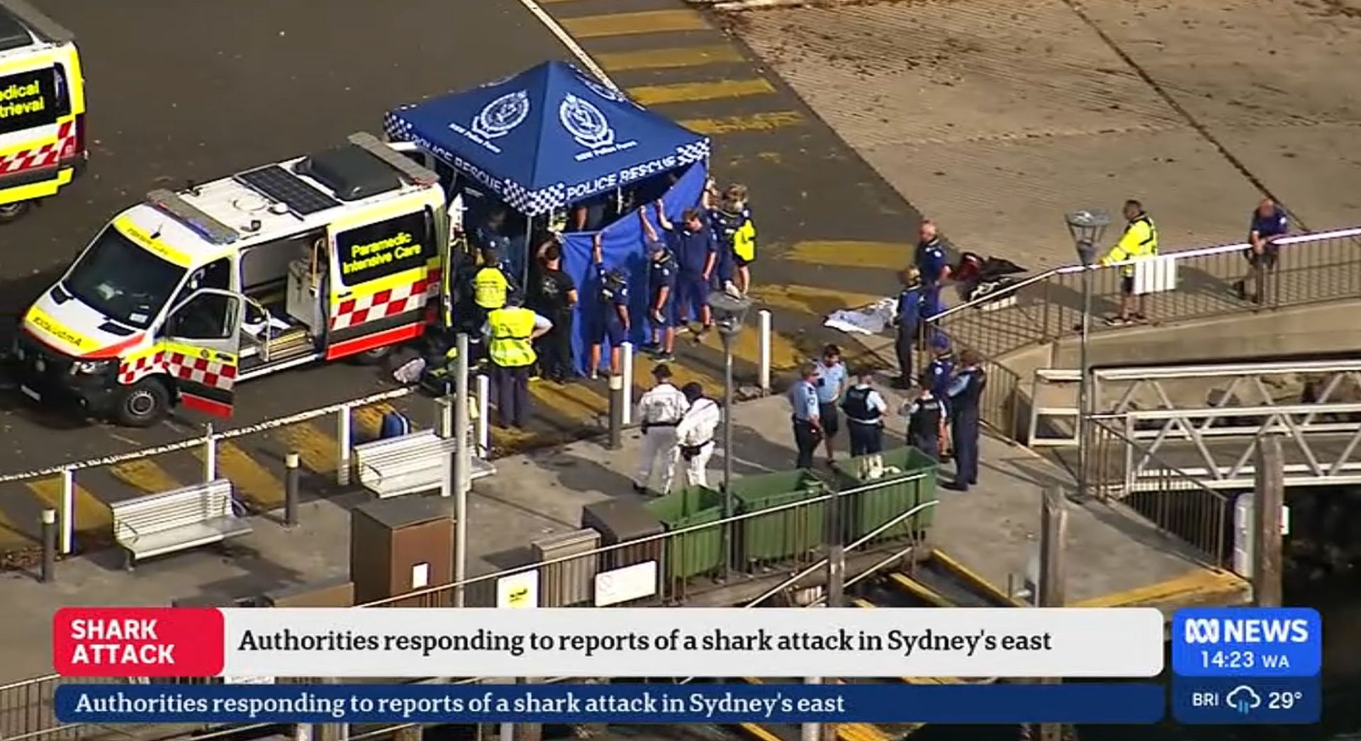 Haiangriff in einem Vorort von Sydney