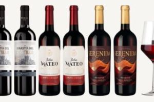 Hawesko Weinpaket „Spanischer Tempranillo“ – acht Flaschen + zwei Gläser für 39,90€