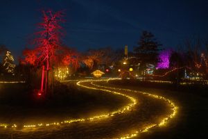 Helle Freude über Eröffnung des Weihnachtsmarkts im Barfußpark Friedeburg