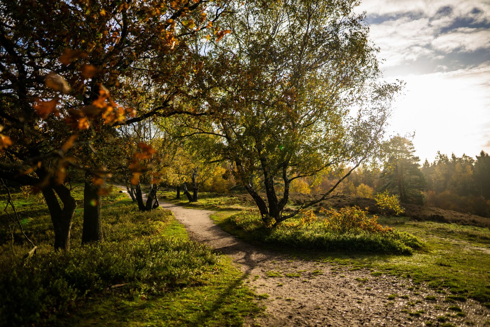 Holstein im Herbst – Farben, Weite und kleine Auszeiten