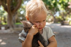 Hund, Katze, Bauernhof: Kontakt zu Tieren und Stallstaub schützt Kinder vor Allergien