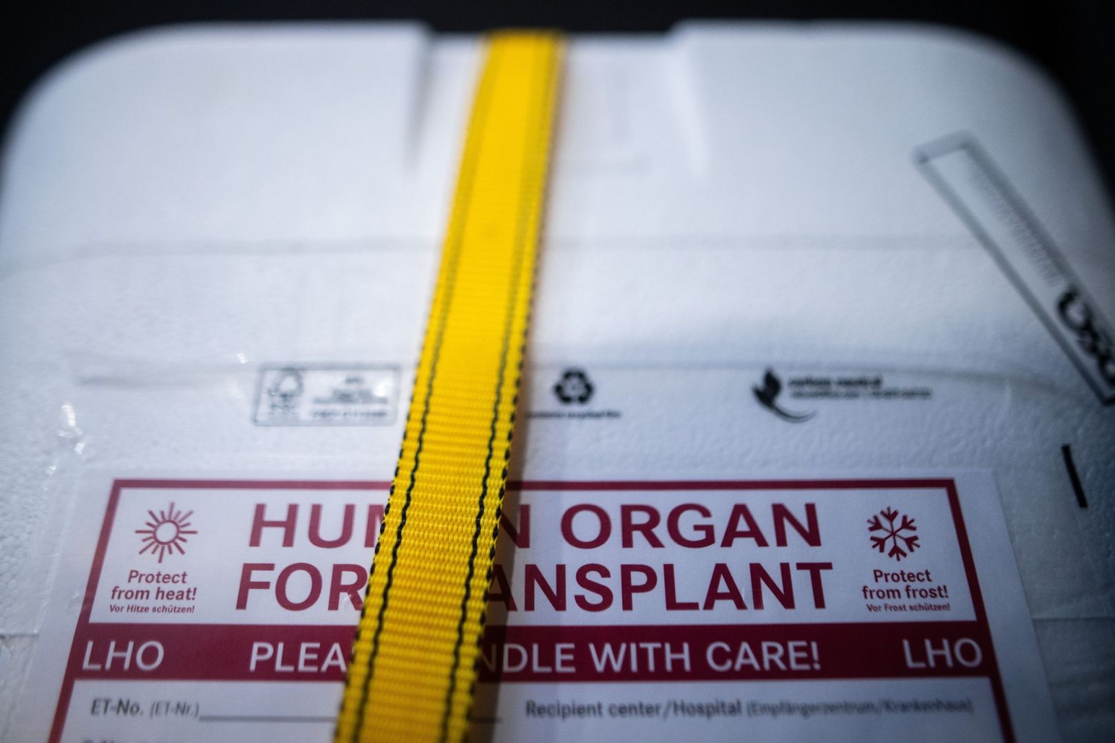 Illustration - Organspende