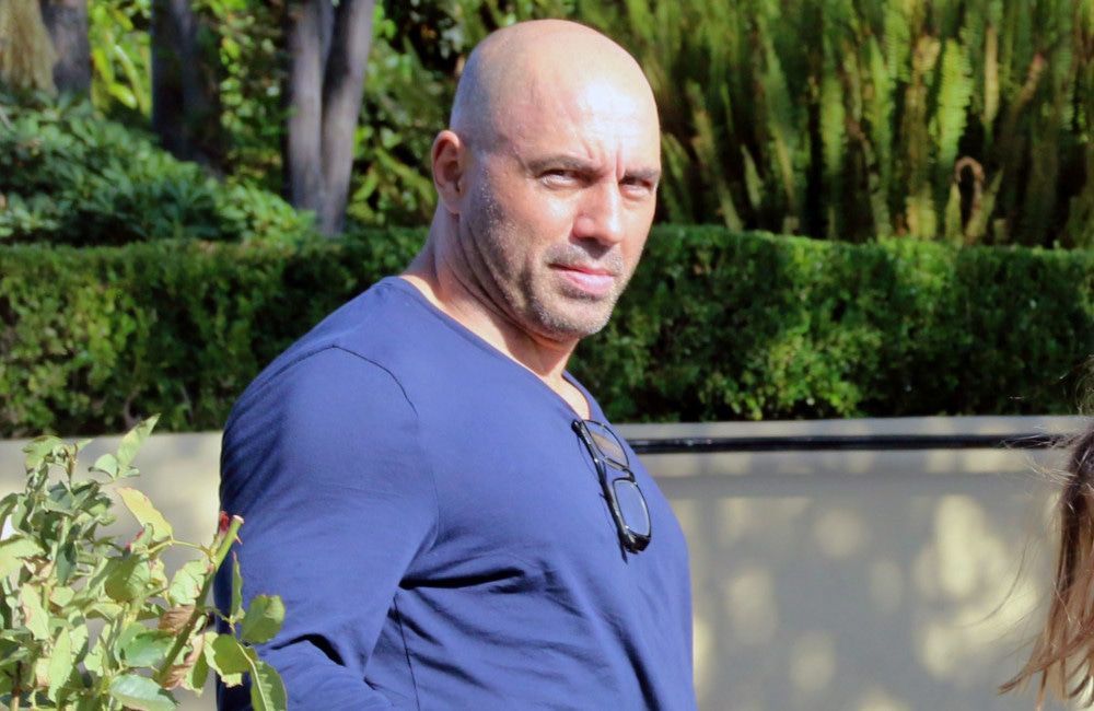 Joe Rogan hat Katy Perry nach ihrer Reise ins All spöttisch als 'Guru' bezeichnet.