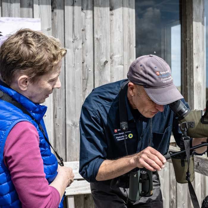 Juist: Fliegende Gäste auf Zwischenstopp: Juist begrüßt Zugvögel
