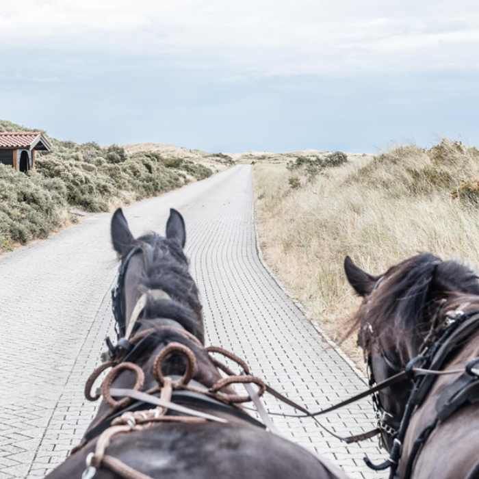 Juister votieren für das Bürgerbegehren
