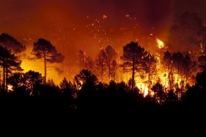 Klimakatastrophen vermessen: Lidar-Technologie macht die Kosten greifbar
