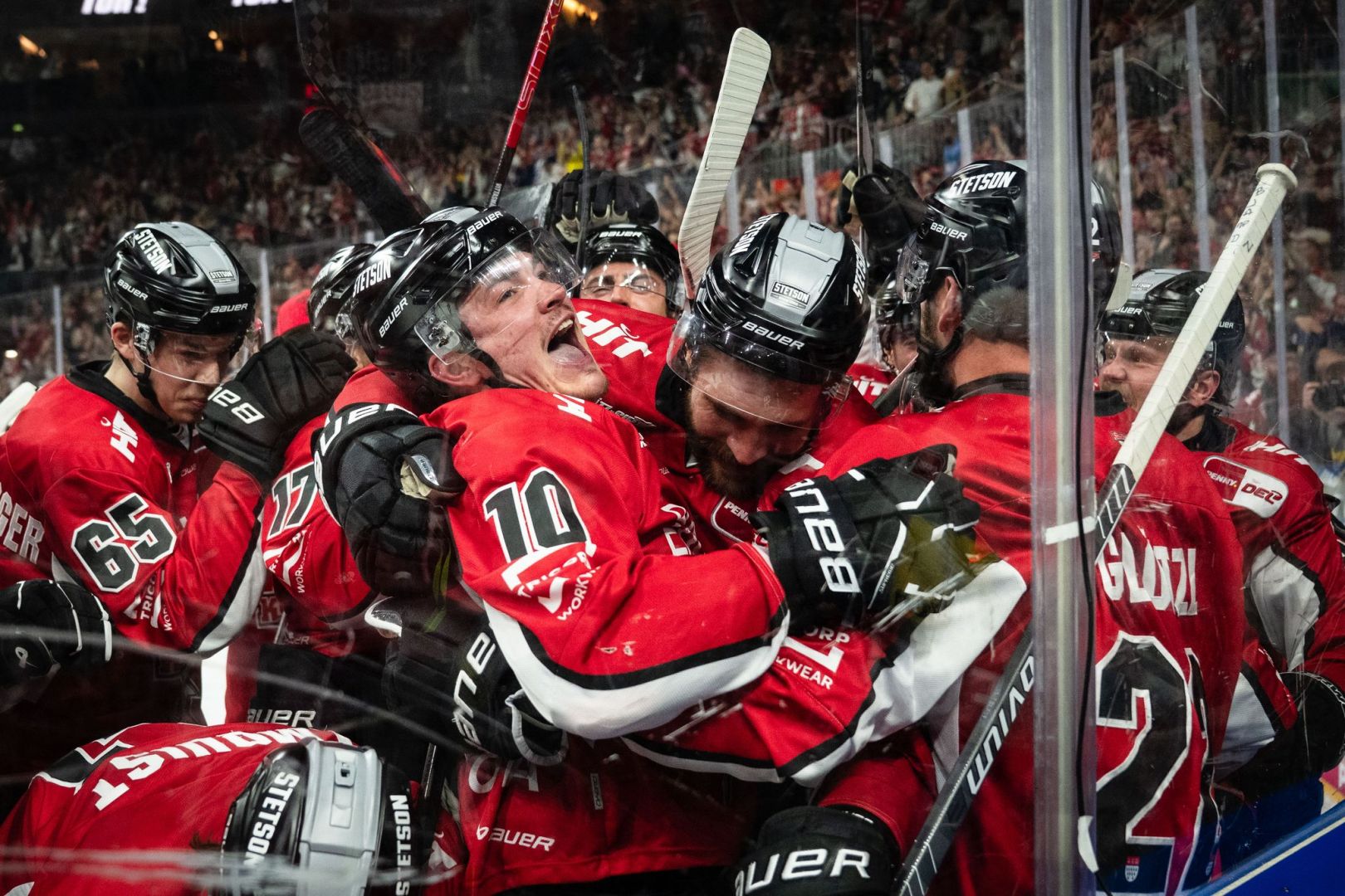 Kölner Haie - ERC Ingolstadt