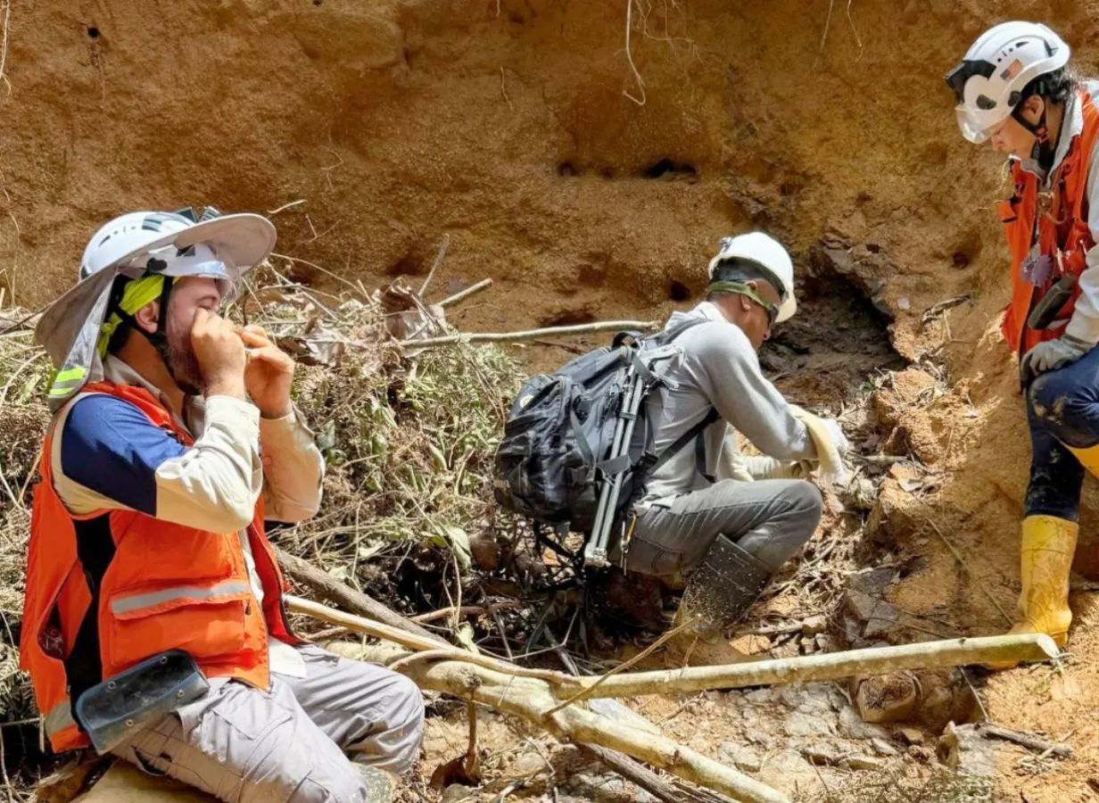 Kolumbien-Offensive: Quimbaya vergrößert Segovia-Footprint auf 73.000 Hektar!