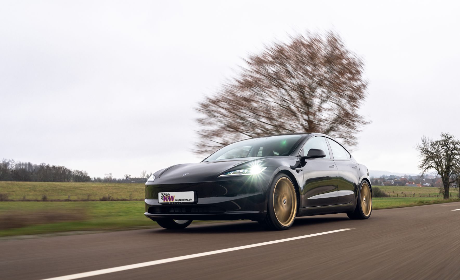 Kompatibel mit Teslas Dämpferregelung: