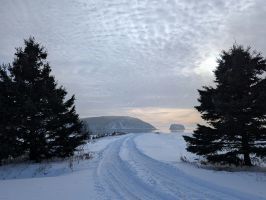 Kostenloses Stock Foto zu abenteuer, bäume, bedeckt