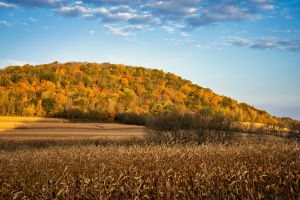 Kostenloses Stock Foto zu acker, agrarland, amerikanische landschaft