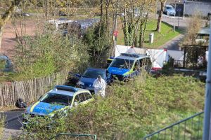 Mann stirbt nach Polizeischüssen bei Verfolgungsfahrt