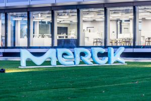 Merck baut ein Mini-Organ für die Zukunft