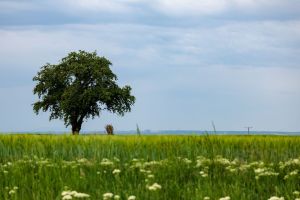 Meteorologen rechnen mit Wetterumschwung