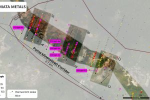 Miata Metals veröffentlicht Bohrplan für Puma-Ziel auf Goldprojekt Sela Creek in Surinam