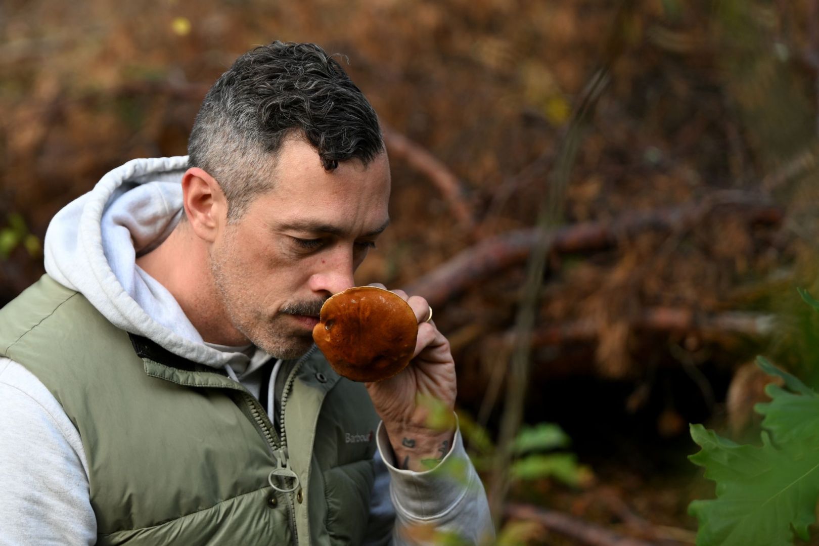 Mit einem Pilz-Influencer in den Pilzen