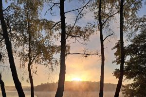 Morgennebel in Duisburg