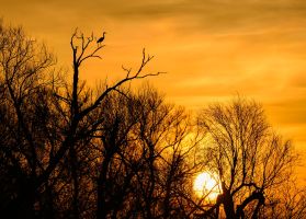 Morgenstimmung in Brandenburg