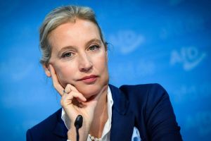 Musk und Weidel: Faktenchecks entlarven fehlerhafte Behauptungen im kontroversen Livegespräch