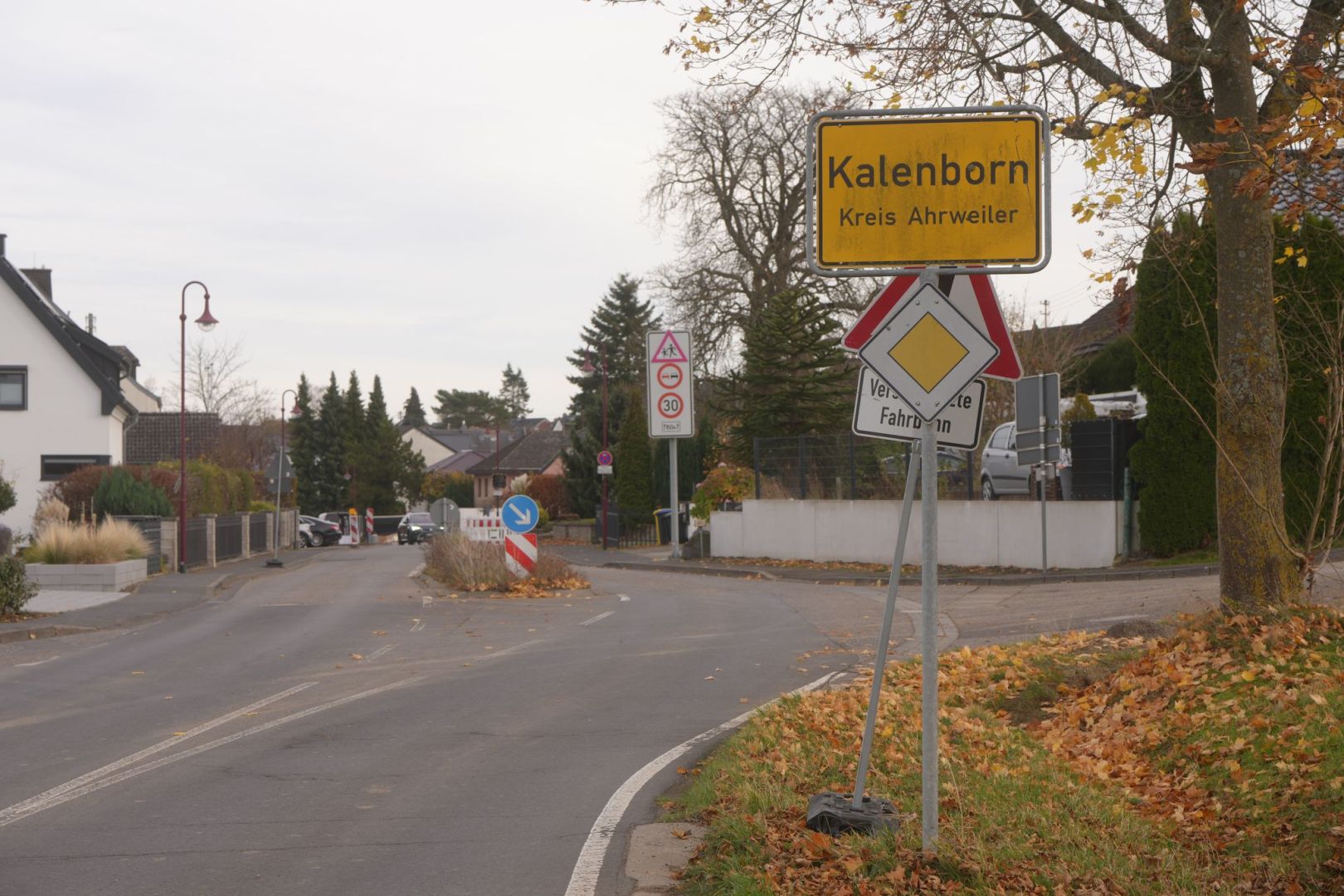 Mutmaßliche Großkatze gesichtet