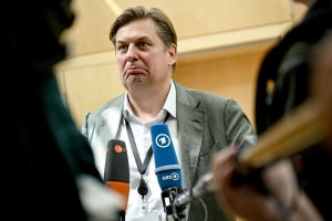 Nach der Europawahl - AfD