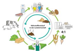 Nährstoffkreislauf in der Landwirtschaft - Neues Erklärvideo zur Bedeutung der Nutztiere