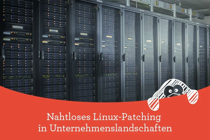 Nahtloses Linux-Patching in Unternehmenslandschaften