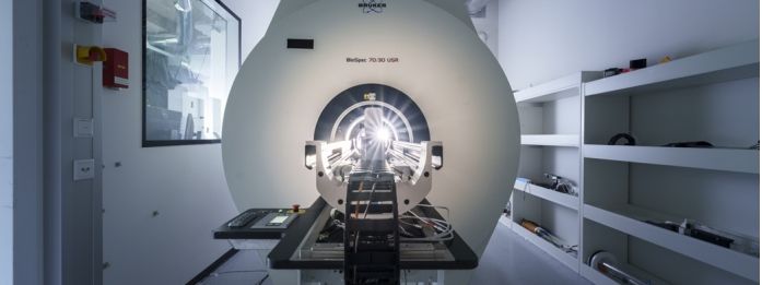 Nanodiamanten als Kontrastmittelalternative im MRT