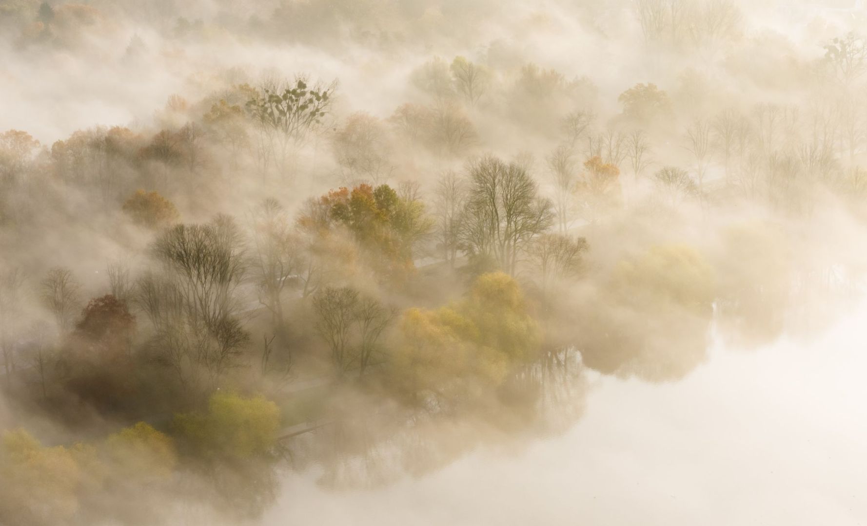 Nebelfelder liegen zwischen Bäumen am Maschsee