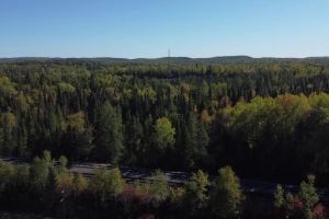 Neue Zolldrohungen stärken Goldpreis und Inder lieben Gold