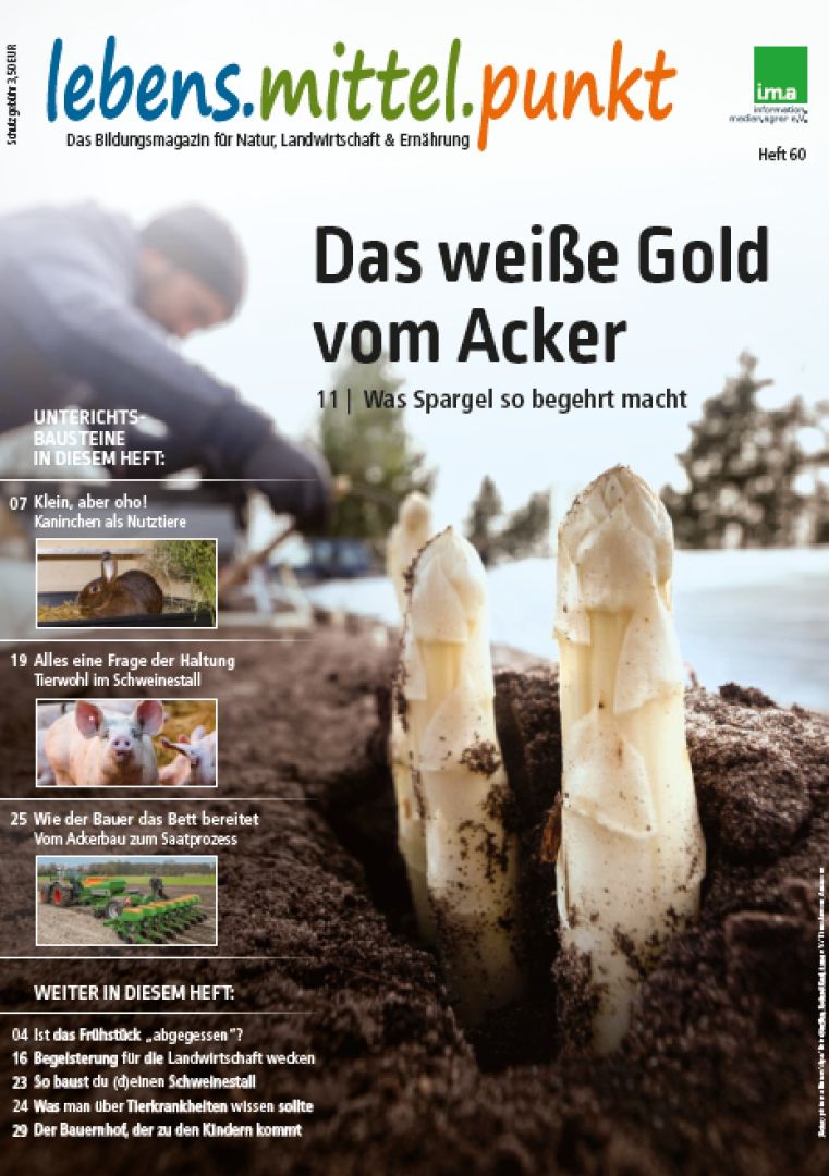 Neuer Auftritt für altbekannten „lebens.mittel.punkt“