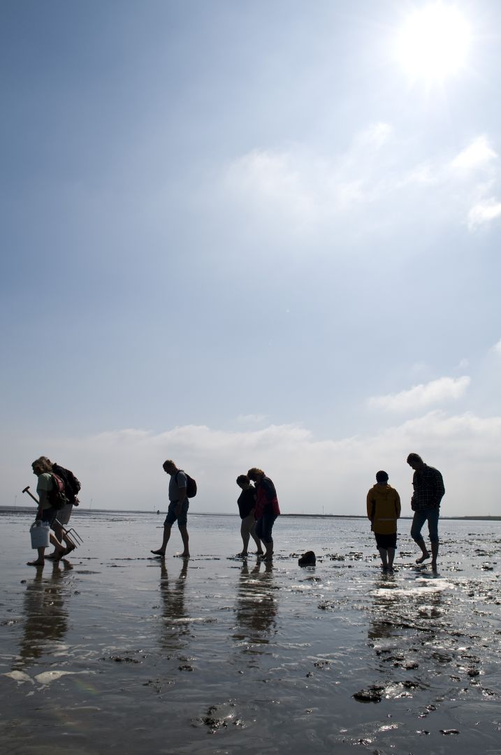 Otterndorf: Wattführungen und Stadtführungen auch in der kalten Jahreszeit