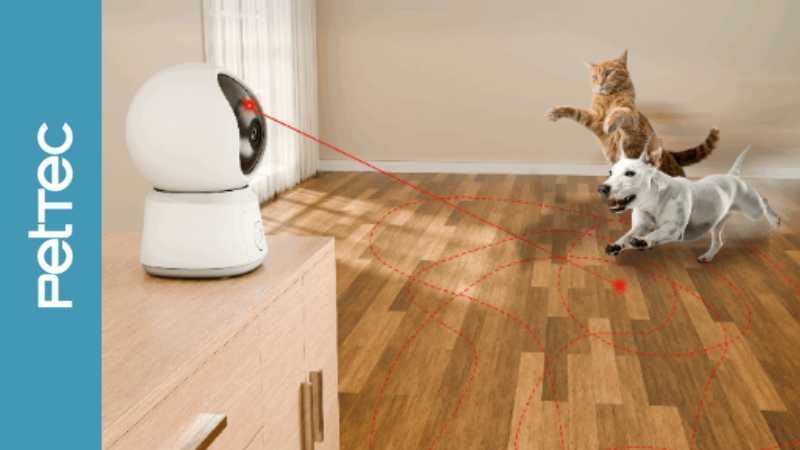 PetTec Cam Laser – Spielt mit eure Katze aus der Ferne