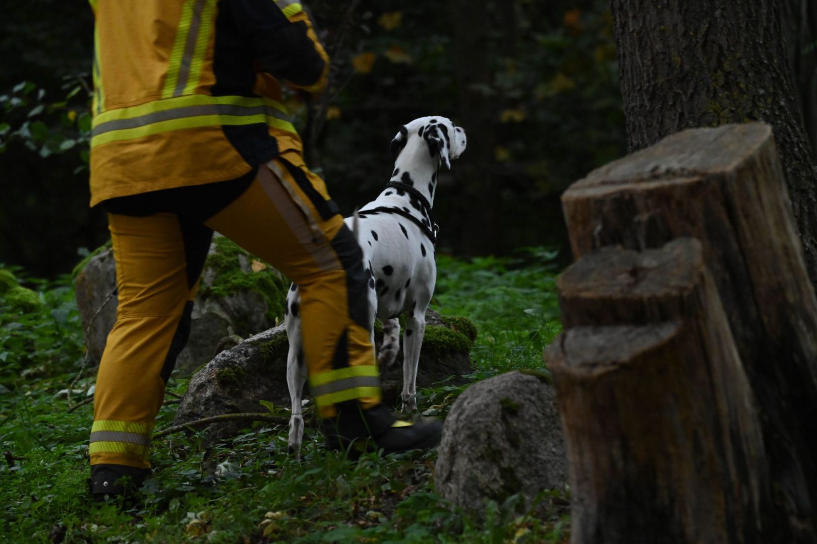 Polizei sucht nach Achtjährigem aus Güstrow