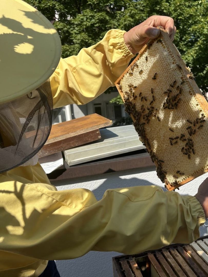 Projekt der adventistischen Mose-Schule in Nürnberg wird durch Spendenwettbewerb der Sparda-Bank gefördert