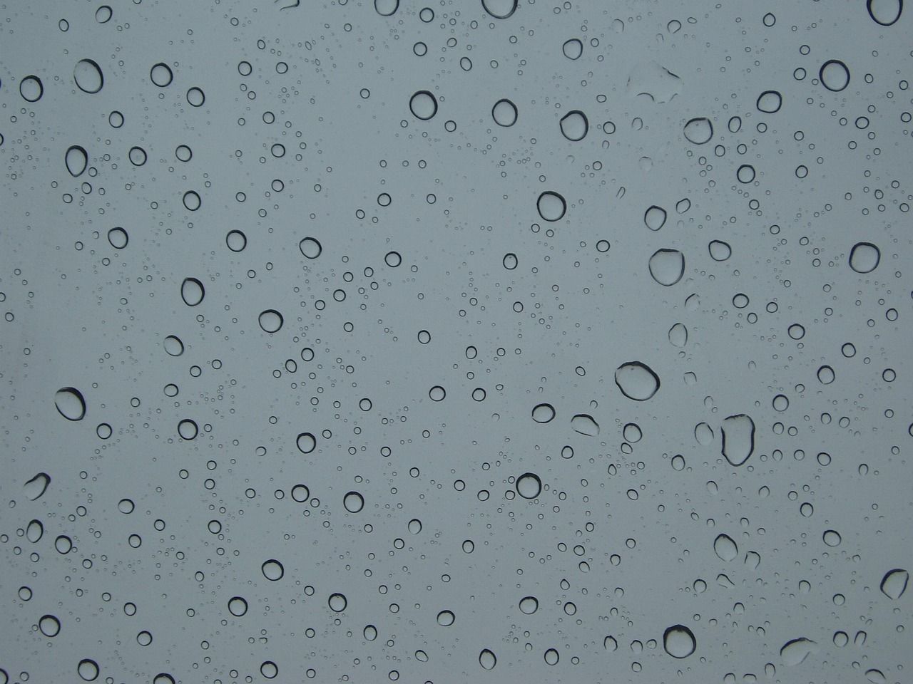 raindrop, regen, nature, weather, trickle, water, rainy day