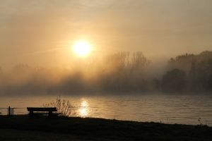 rhine, fog, mood