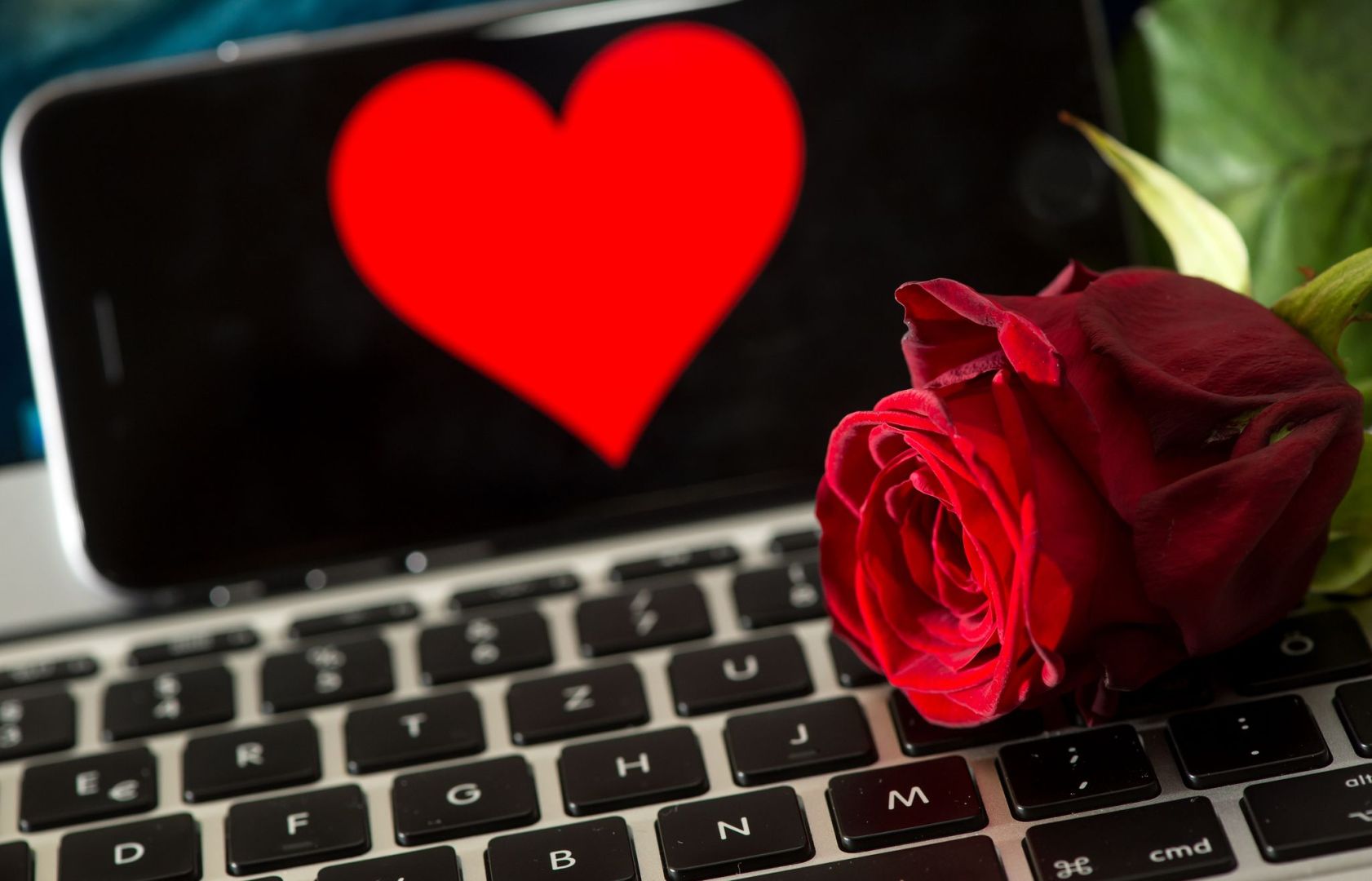 Rose auf Tastatur