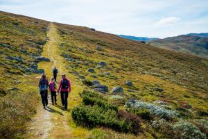 Royales Wandern auf dem norwegischen „Kongevegen“
