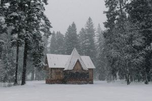 Ruhige Schneeszene mit einer Holzhütte, umgeben von hohen Bäumen im Winter.