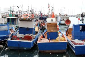 Schiffe in einem Hafen (Archiv)