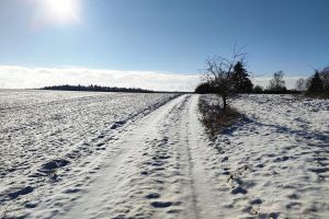 Schnee (Archiv)