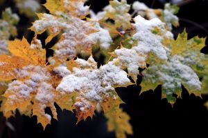 Schnee im Voralpenland