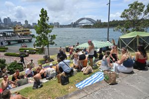 Silvester - Feuerwerk in Sydney