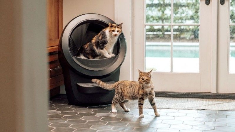 Smarte Hilfe für Katzen mit dem Litter-Robot 4