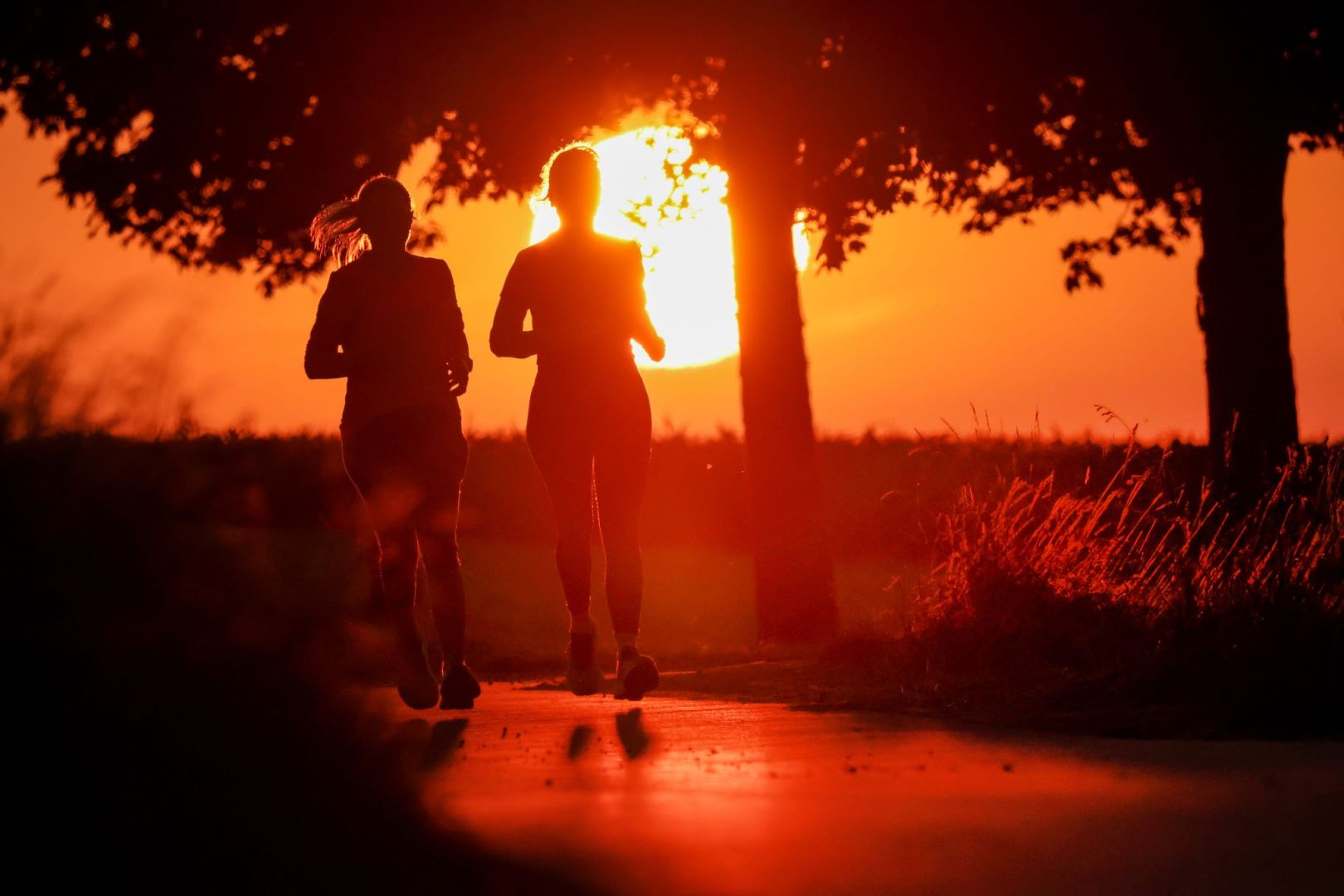Sommer kehrt zurück