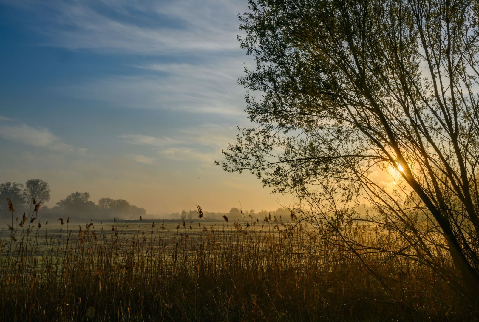 Sonnenaufgang am Ostersonntag