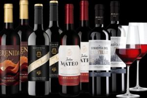Spanischer Tempranillo im Probierpaket für 39,90€ (4 x 2 Flaschen + 2 Gläser)